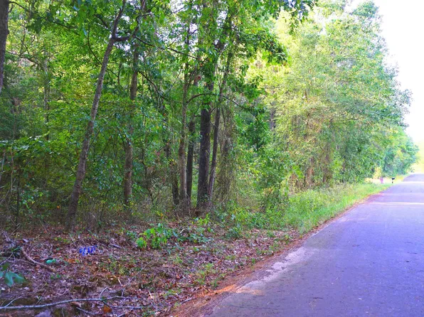 Bob O Link Rd, Gilmer, TX 75645