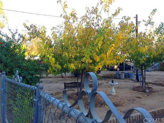 Tree and Shrub lined fencing with beautiful colorful foliage.