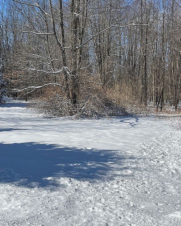 2nd image of 8054 Poplar Dr