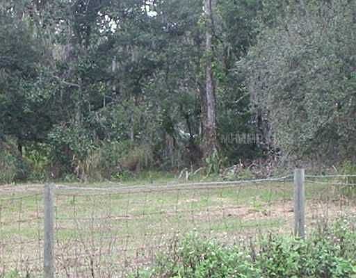 1st image of 12799 Robin Cherney Way