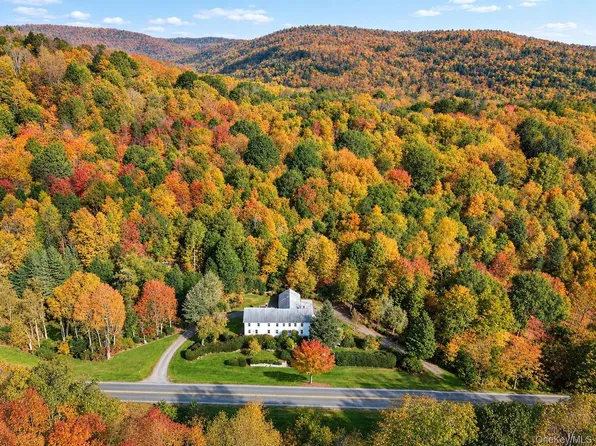 2182 Old Road 17, Roscoe, NY 12776