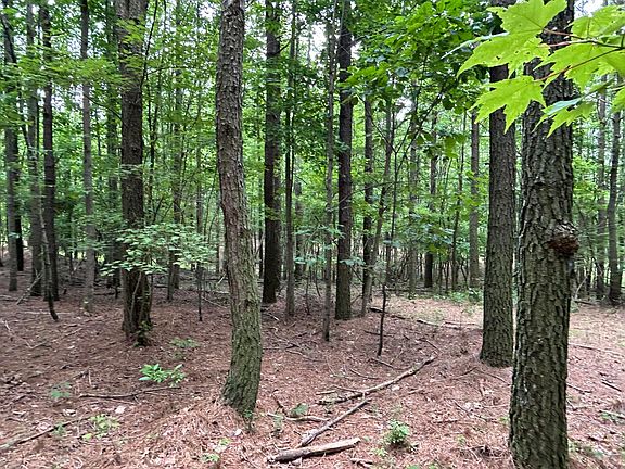 5th image of 4560 Raulston Falls Rd #Jf-112