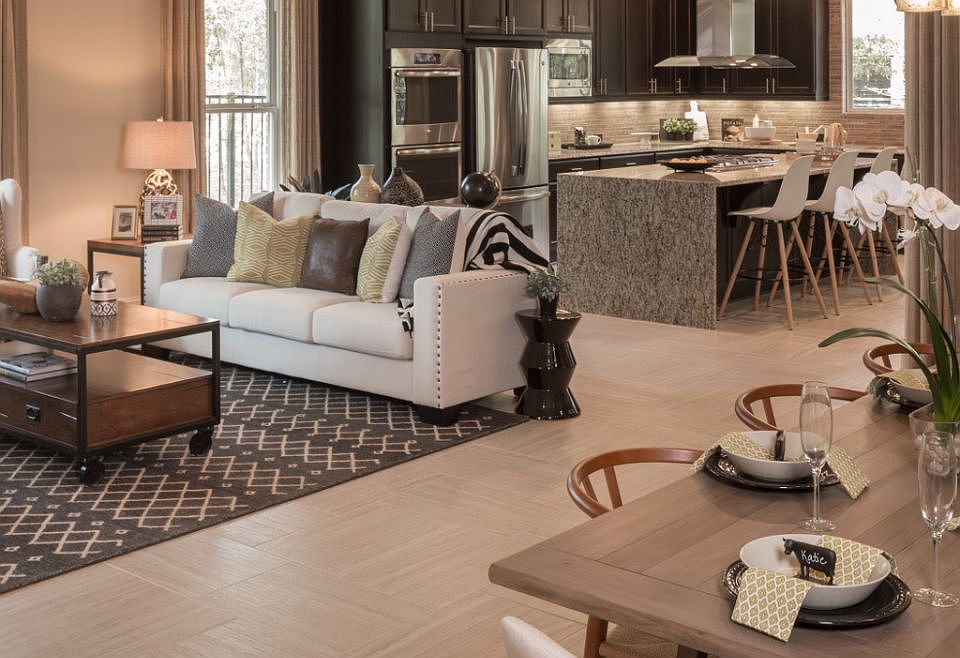 Plan 4132 Great Room Harmony Model