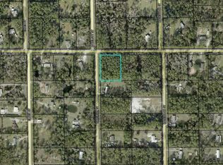 4681 Walnut Ave LOT 1, Bunnell, FL 32110