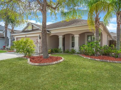 5803 Tulip Flower Dr, Riverview, FL, 33578