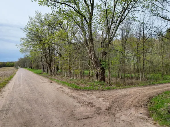 Biggs Ave NE, Lowell, MI 49331