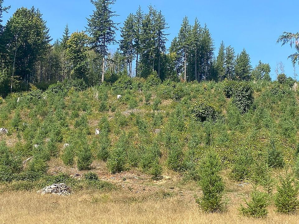 11646 Lewis River Dr, Ariel, WA 98603 Zillow