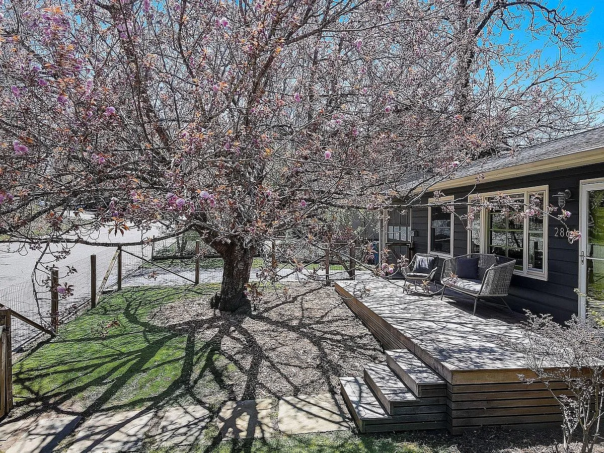 286 Cumberland Ave — Photo 3