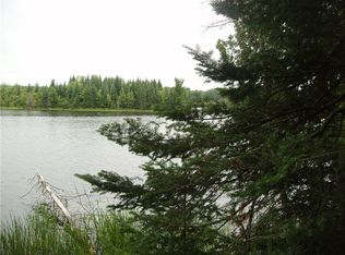 6 On South Sand Cv, Park Falls, WI 54552