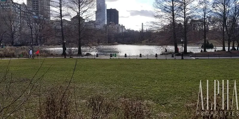 Rented by Alpha Properties NYC I LLC | media 22