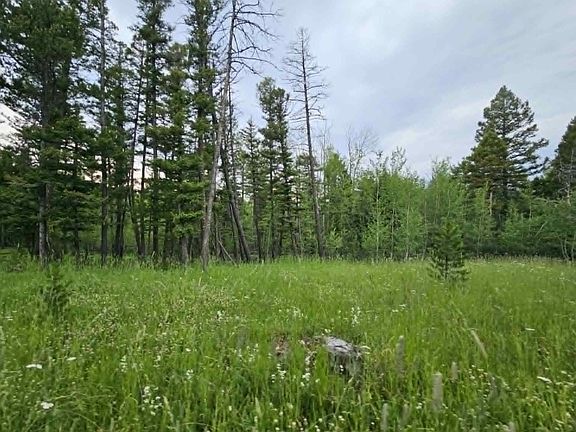5th image of Nhn Hoover Creek Rd