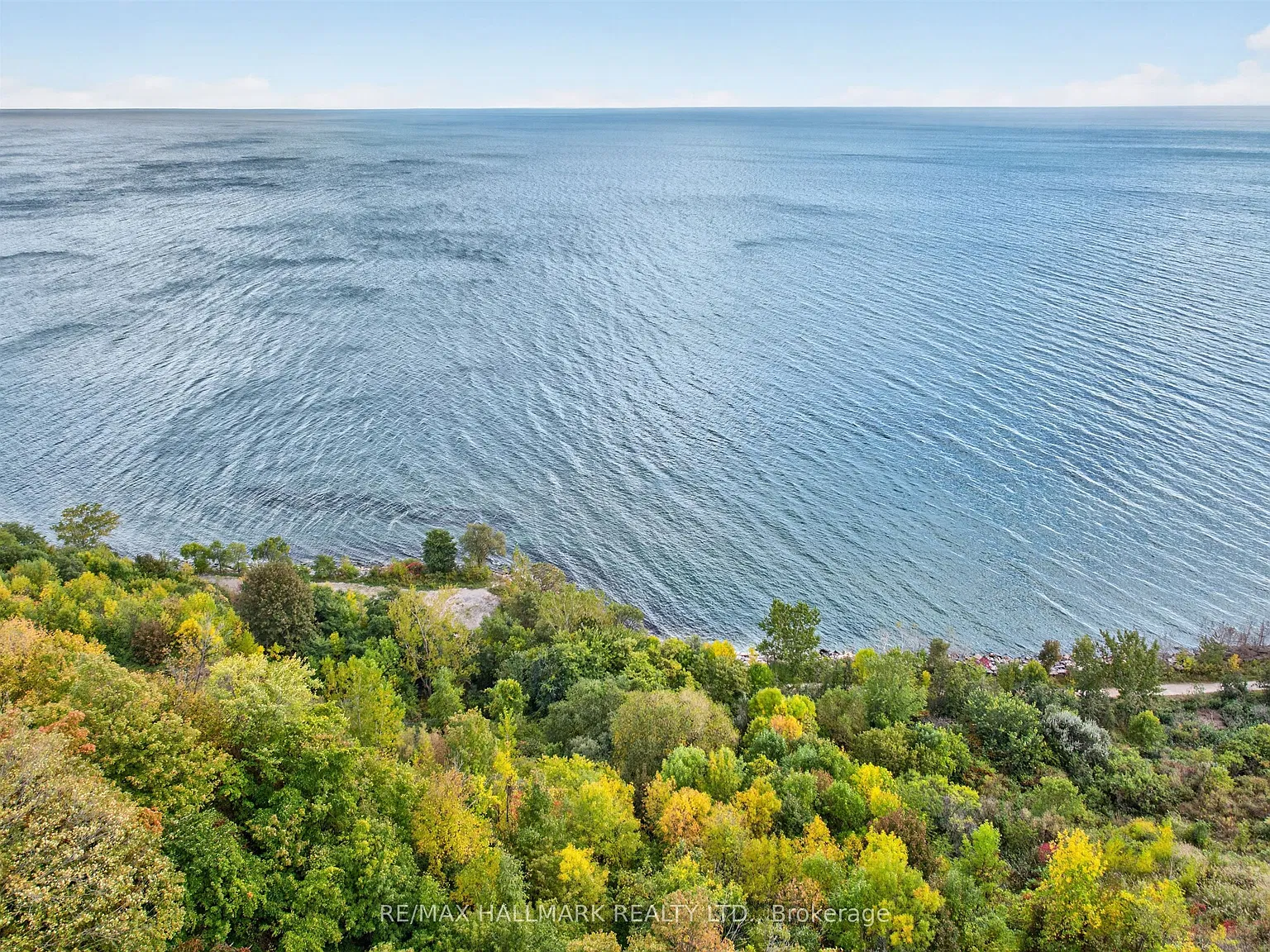 3 bed, $2,950 — Photo 3