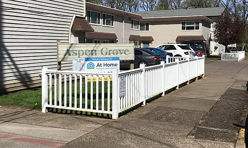 Aspen Grove- AG Photo 1