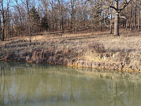 4th image of 12315 Stave Mill Rd