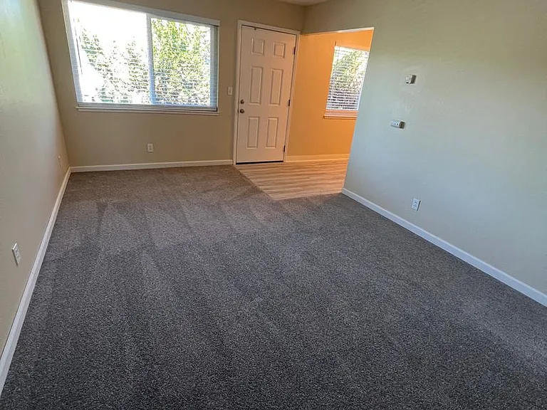 3747 Underwood Dr — Photo 10