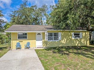 1295 Morningside St, Mount Dora, FL 32757