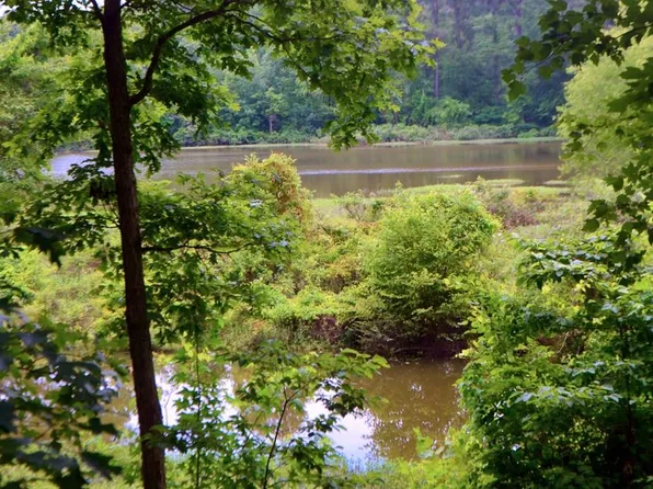 0 Mills Ln, Buchanan, TN 38222