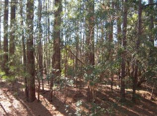 22 E Lake Rd Birdie Ct, Wagram, NC 28396