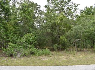 1295 E Bluebird Ct, Hernando, FL 34442