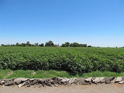 1st image of 16546 State Highway 33