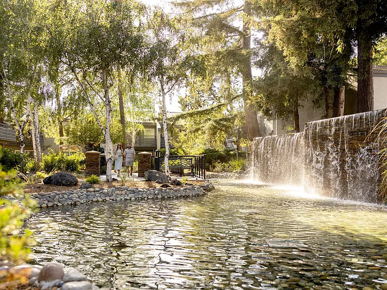 Shadowbrook — Photo 14