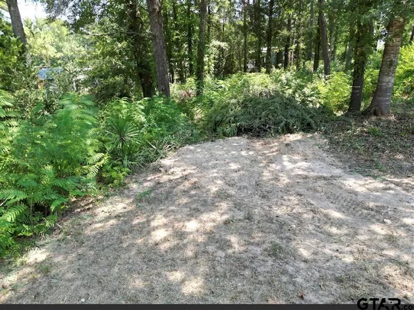 Olympia Ln, Tyler, TX 75709