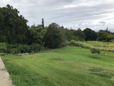45-808 Kila Kila Pl, Honokaa, HI, 96727