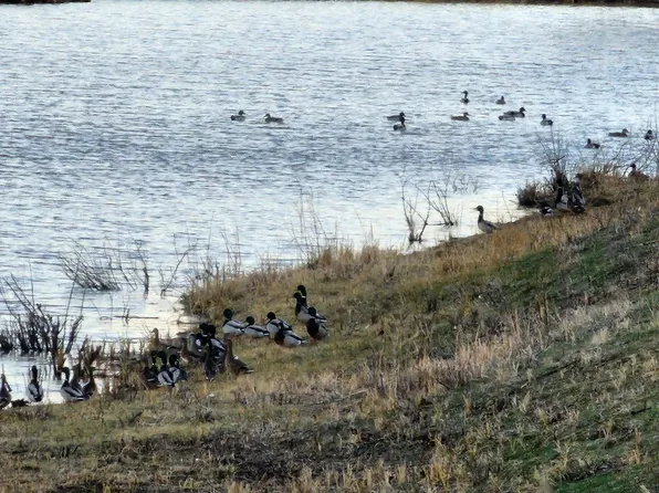 Hog Ridge Ave, Sumner, MO 64681