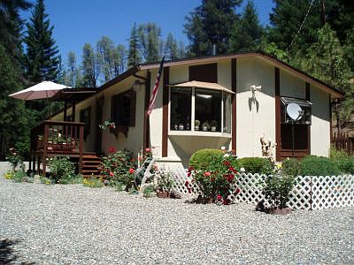 Everthing's coming up roses