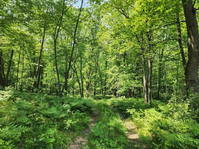 25/ACRE S Mostetler Rd, Harrison, MI, 48625