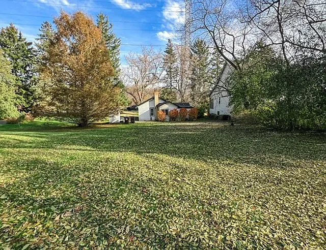 Huge backyard
