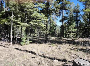 180 Big Dipper, Cloudcroft, NM 88317