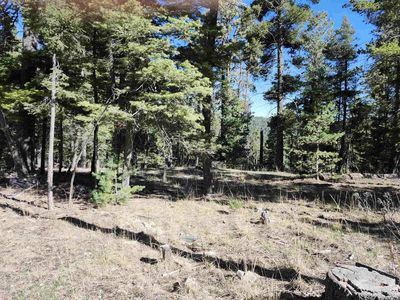 180 Big Dipper, Cloudcroft, NM, 88317