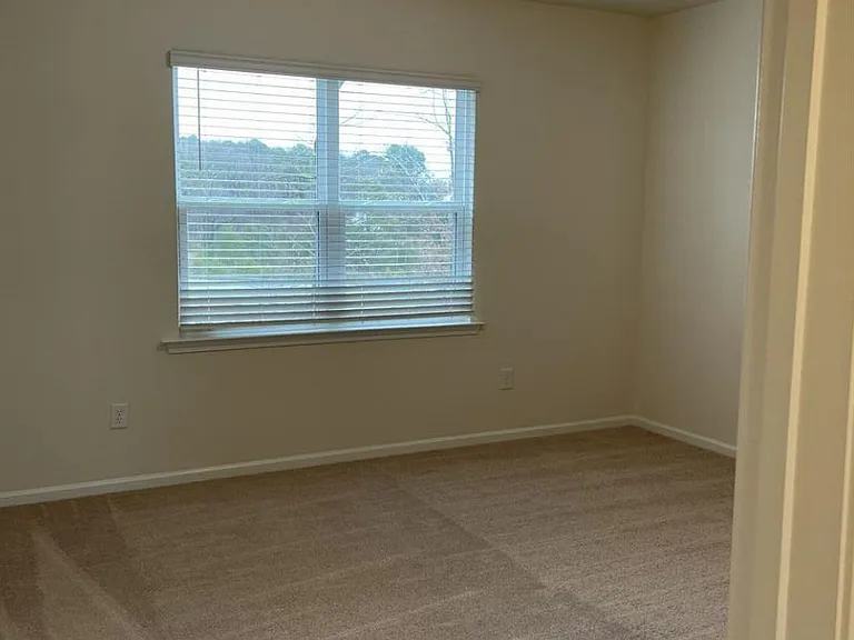 1119 Diamond Dove Ln — Photo 12