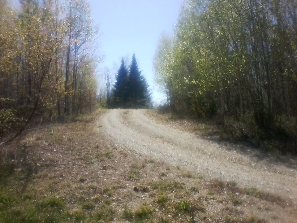 2nd image of 1664 Cathance Rd