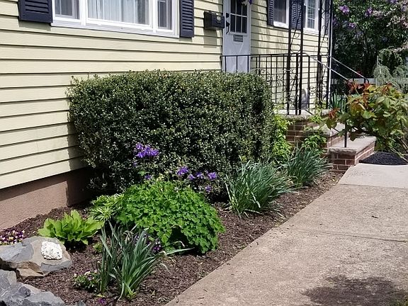 2nd image of 416 Sidorske Ave