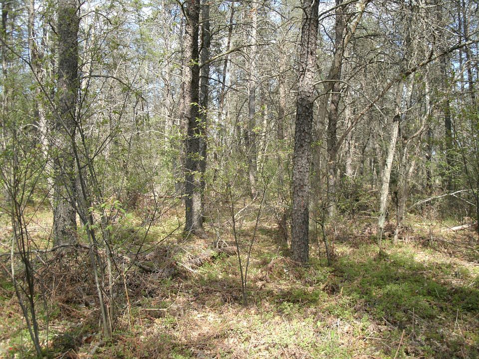 2nd image of 9 W Mile Road Rd