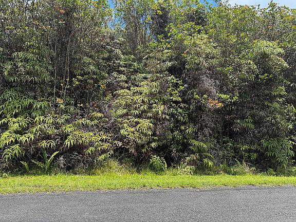 3rd image of Hibiscus St