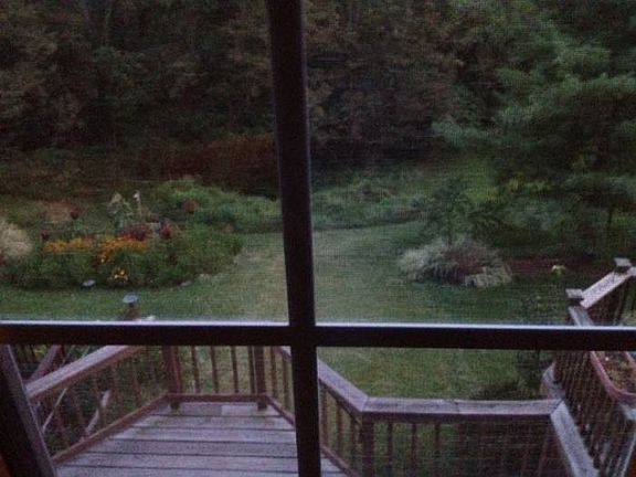 Back Deck