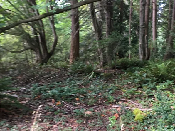 8081 Cultus Bay Rd, Clinton, WA 98236