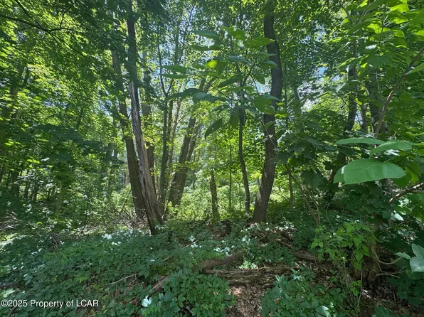 138 S Keyser Ave, Scranton, PA 18504