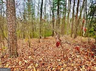 25AC Loy St, Ellijay, GA 30540
