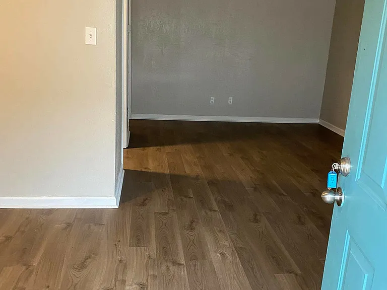 Palm Shore Apartments — Photo 8
