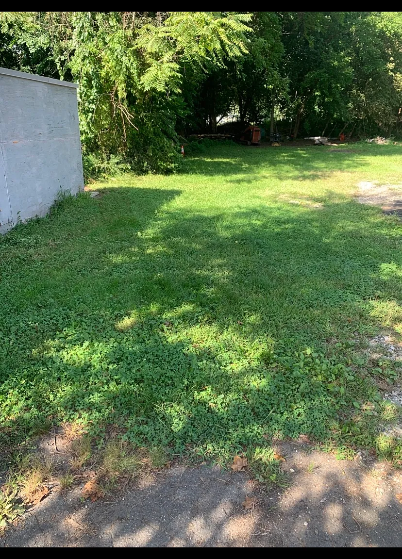 2 bed, 750 sqft, $1,800 — Photo 3