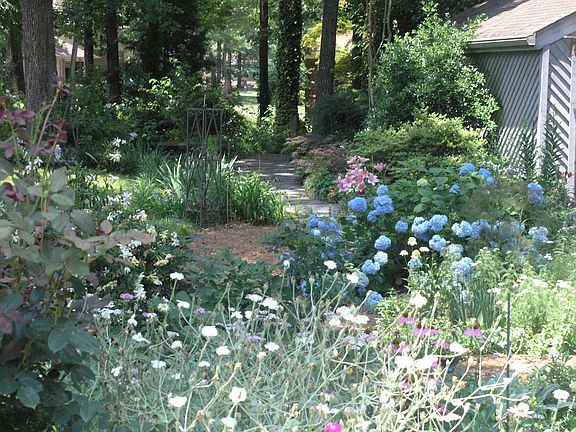 Garden in Summer