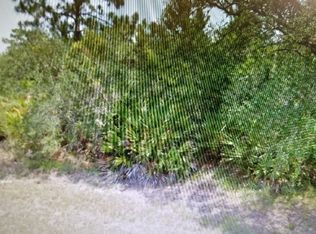 105 Launch Rd NW, Lake Placid, FL 33852