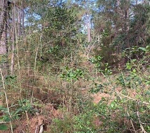 4th image of LOT 93 Papawai Dr