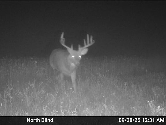 4th image of TBD Bruce Mound Avenue