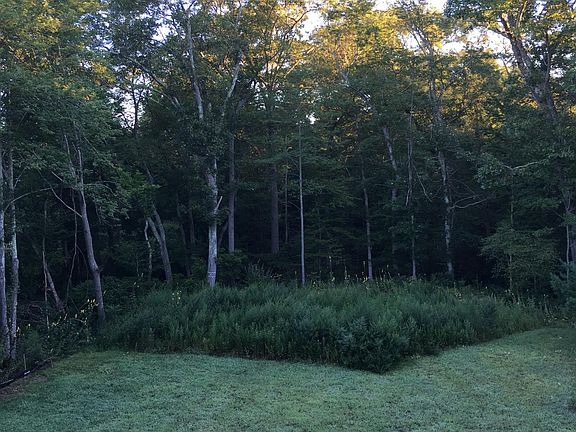 Landscaped Yard in the summer