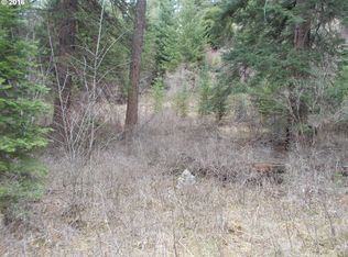0 Grizzly Way, Imnaha, OR 97842